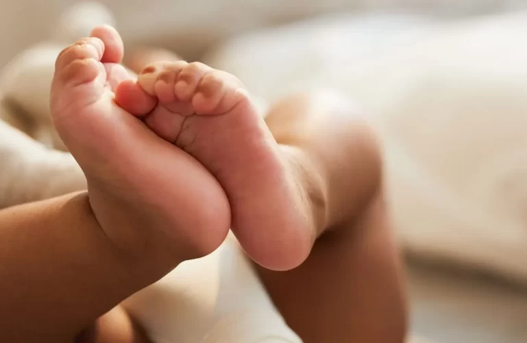 bebe