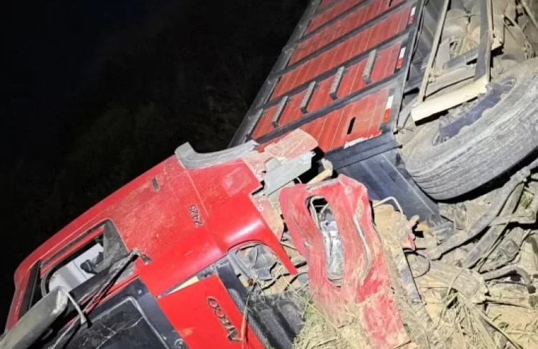 caminhao-carregado-de-bois-tomba-e-deixa-motorista-morto-na-br-251