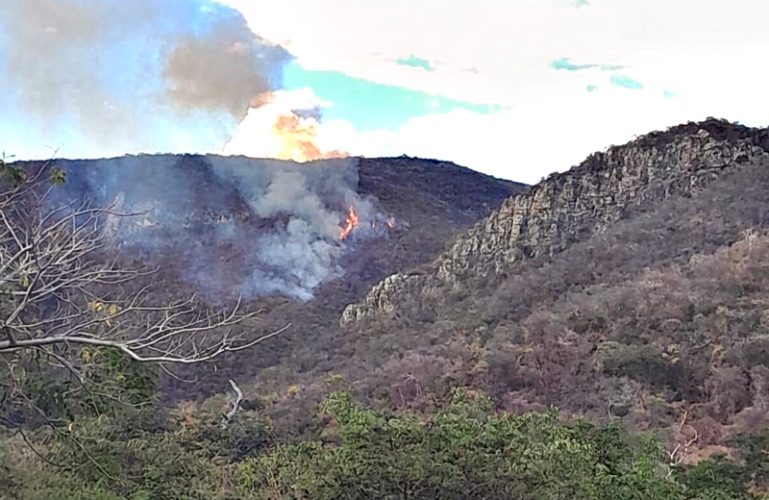 incendio parque