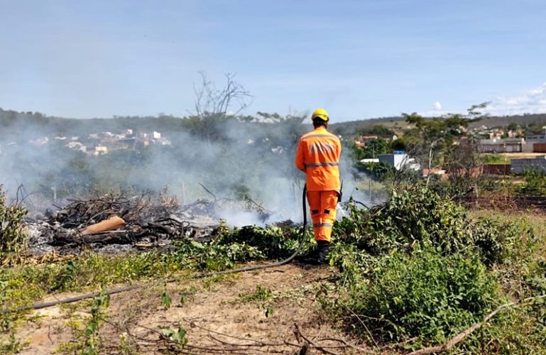 incendio vegetaçao