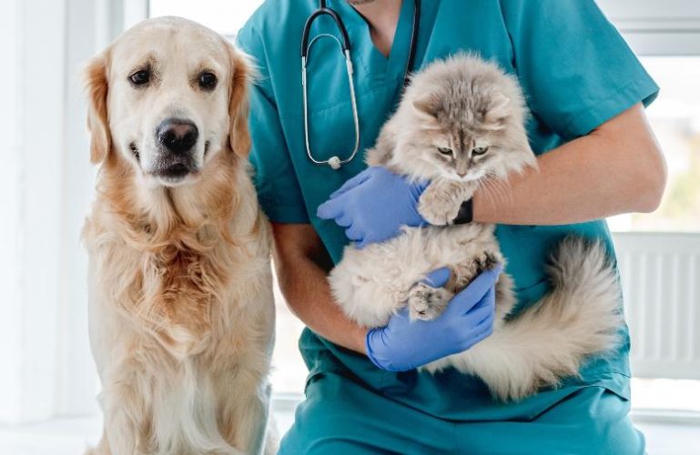 veterinario-com-cachorro-e-gato-1676810061437_v2_900x506
